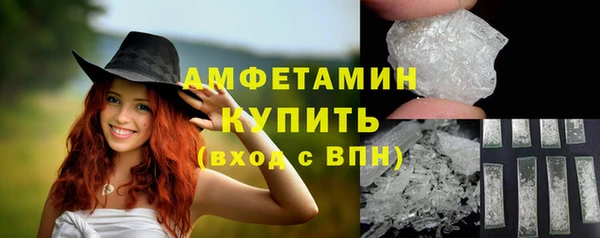 шишки Болотное