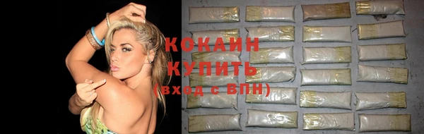 первитин Няндома