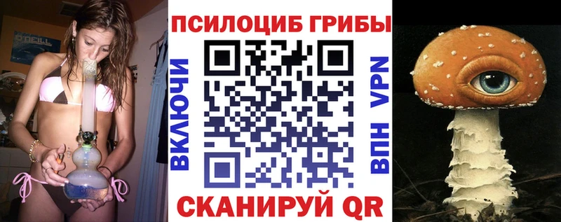 KRAKEN как войти  Березники  Псилоцибиновые грибы Cubensis  купить наркотики цена 
